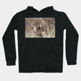 Grouse pose Hoodie